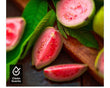 Strawberry Guava